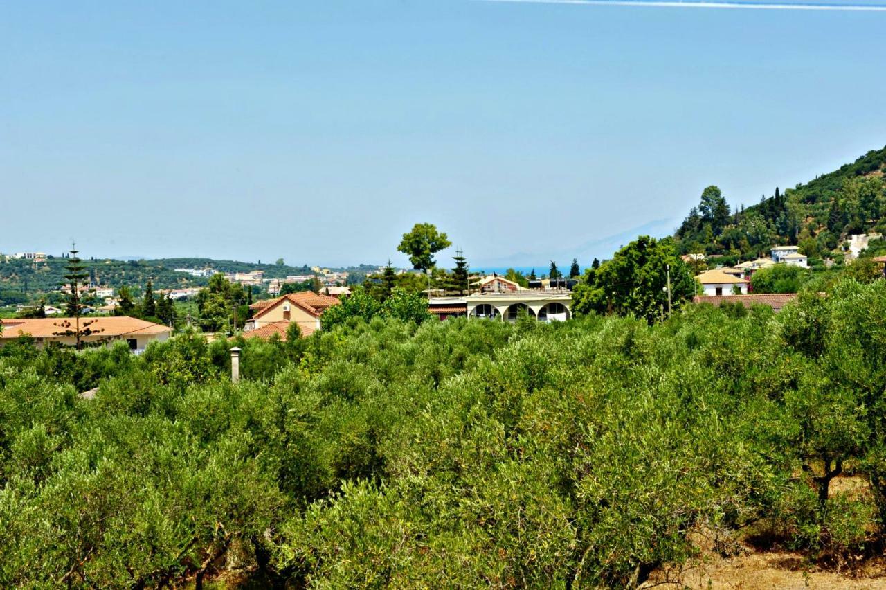 זקינטוס טאון Studios Dimitris Giatras מראה חיצוני תמונה